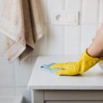7 Pest Control Hacks Every Homeowner Should Know