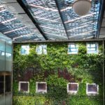 3 Benefits of Installing a Green Wall in an Outdoor Living Space