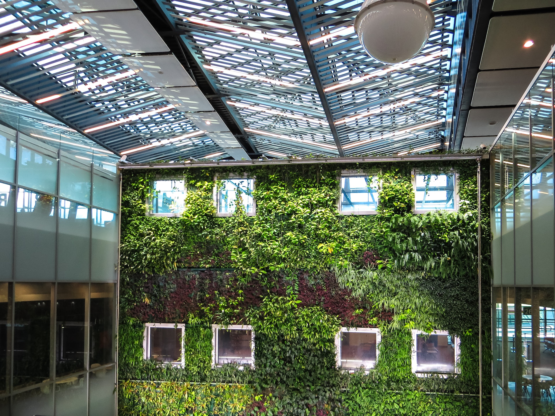 3 Benefits of Installing a Green Wall in an Outdoor Living Space