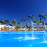 5 Reasons Why Pool Repairs Should Be Done by Professionals