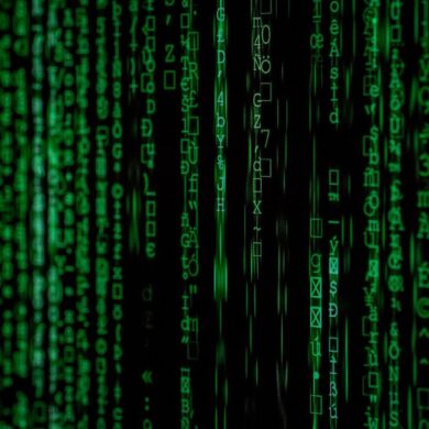 E-Commerce SEO Adapting to Algorithm Updates with Backspace Marketing