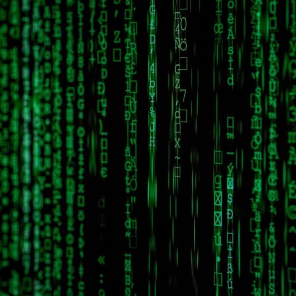 E-Commerce SEO Adapting to Algorithm Updates with Backspace Marketing